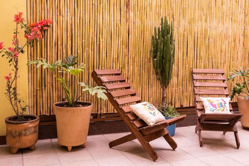 3 Bd House Steps From Santo Domingo Lägenhet Oaxaca Exteriör bild