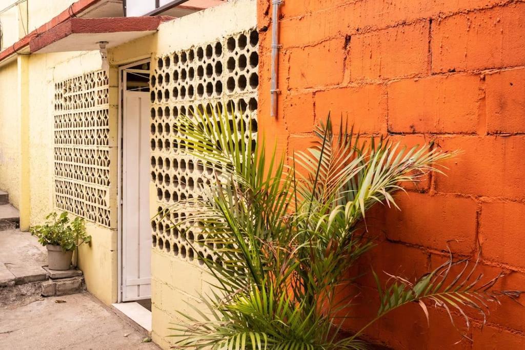3 Bd House Steps From Santo Domingo Lägenhet Oaxaca Exteriör bild