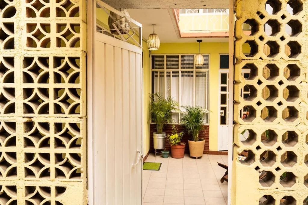 3 Bd House Steps From Santo Domingo Lägenhet Oaxaca Exteriör bild