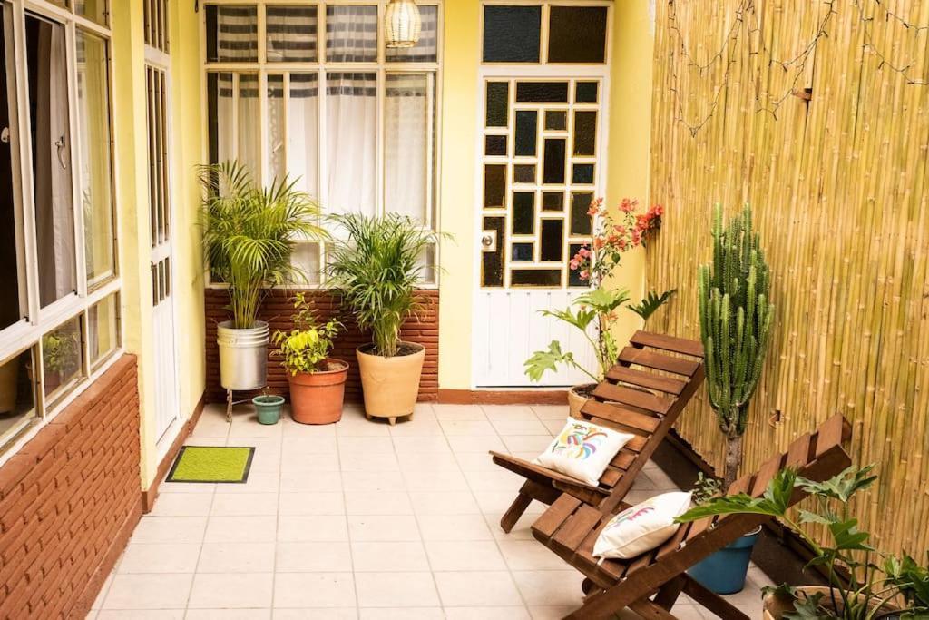3 Bd House Steps From Santo Domingo Lägenhet Oaxaca Exteriör bild