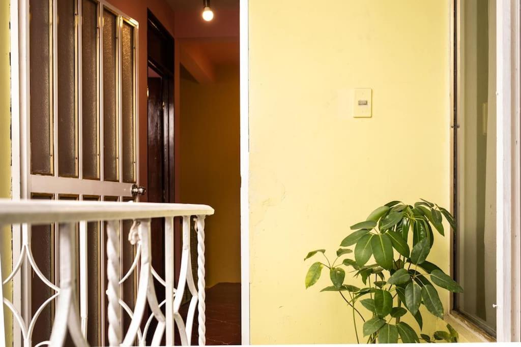 3 Bd House Steps From Santo Domingo Lägenhet Oaxaca Exteriör bild